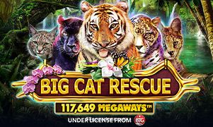 Hình ảnh Big Cat Rescue Megaways tại 88go